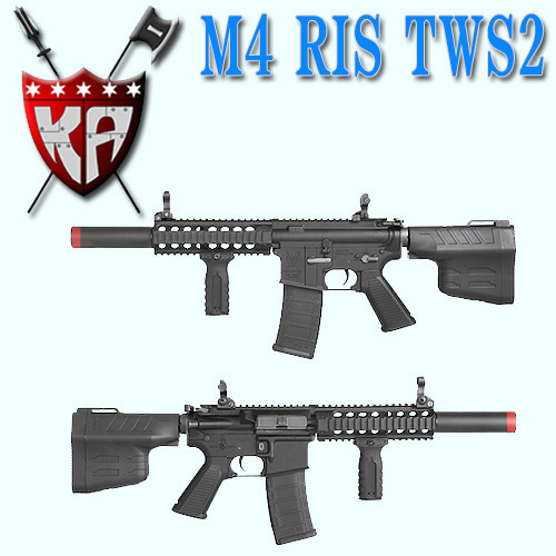 M4 RIS TWS Type 2