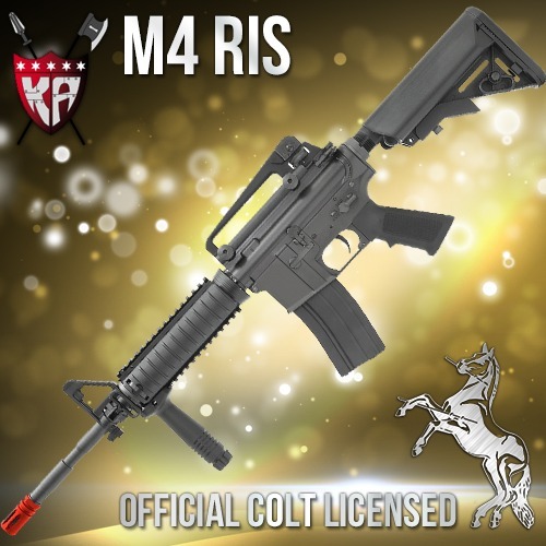 M4 RIS